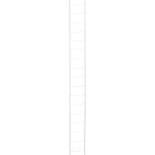 String Ladder for 1/2